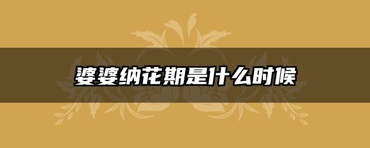 婆婆纳花期是什么时候