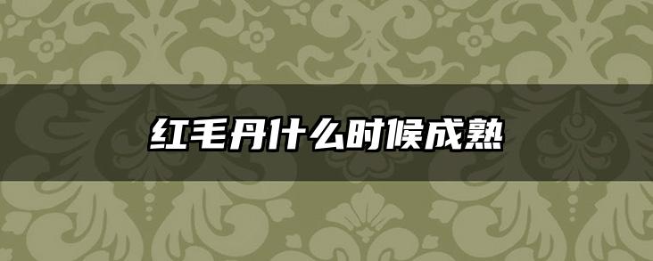 红毛丹什么时候成熟