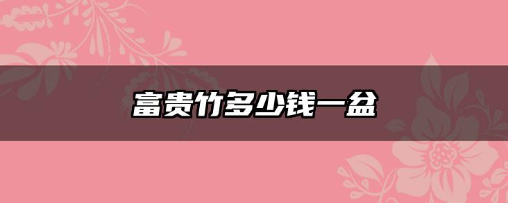 富贵竹多少钱一盆