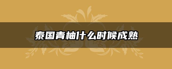 泰国青柚什么时候成熟