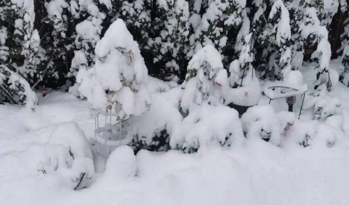冬天下雪
