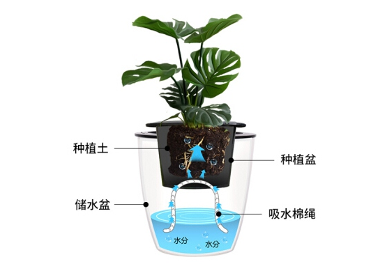 懒人花盆养花的优缺点