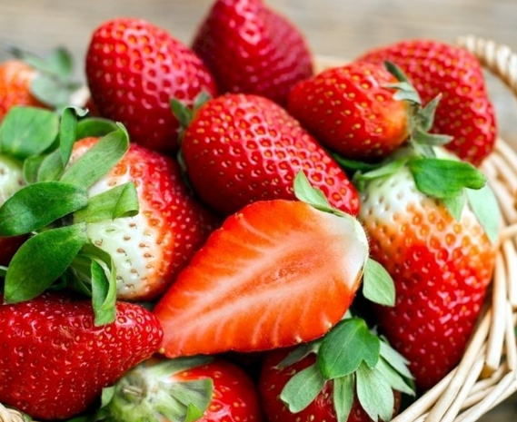 草莓的种植方法和技术