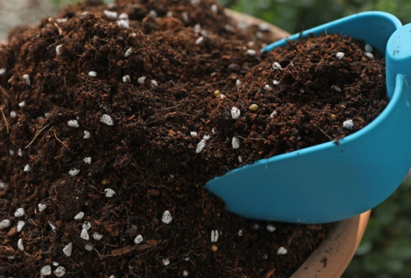 养花营养土的配制方法