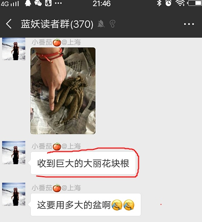 怎样挑选比较好的花卉种球