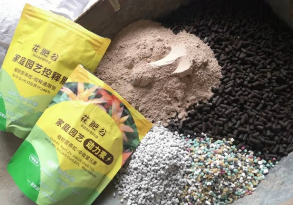 月季花苞期施什么肥