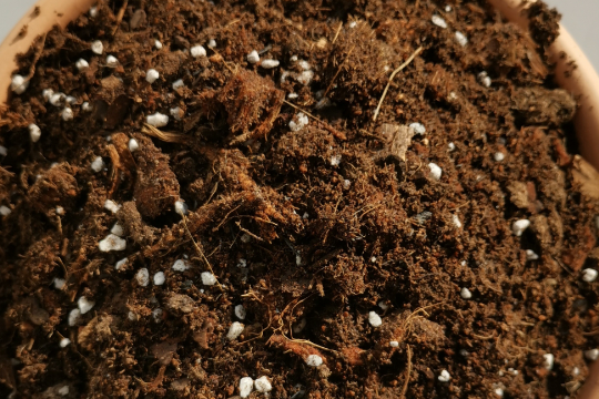 秋季施肥的正确方法