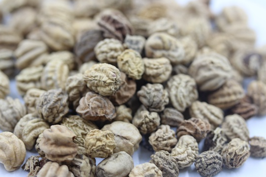 正确的秋季播种育苗方法