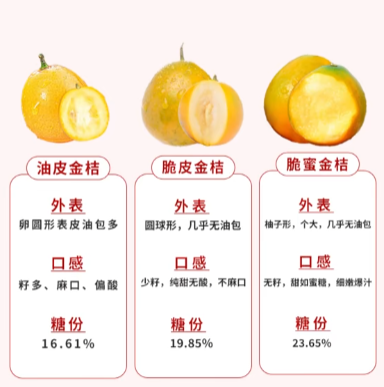 脆皮金桔苗购买技巧，不懂容易买到假货