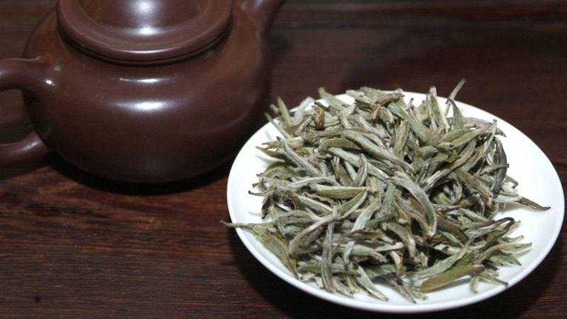 白茶是绿茶还是乌龙茶