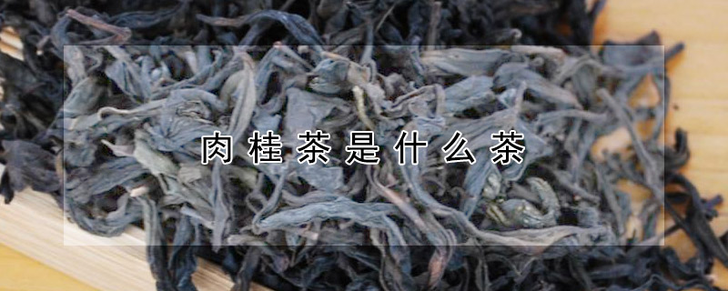 肉桂茶是什么茶