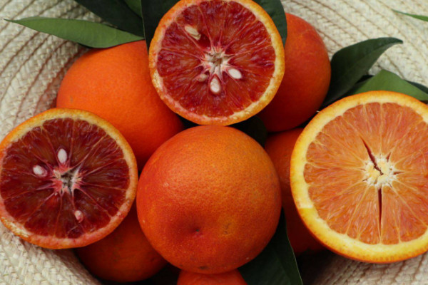 目前最高端的柑桔品种 目前最好的柑橘品种