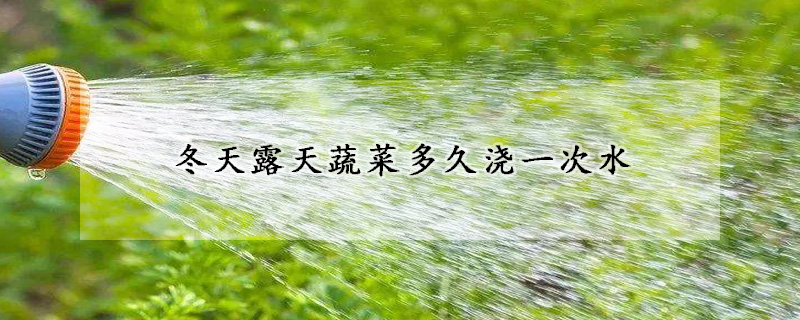 冬天露天蔬菜多久浇一次水