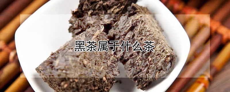 黑茶属于什么茶