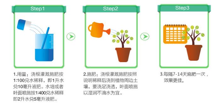 一帆风顺用什么营养液,浓缩型营养液(发芽多发枝快)
